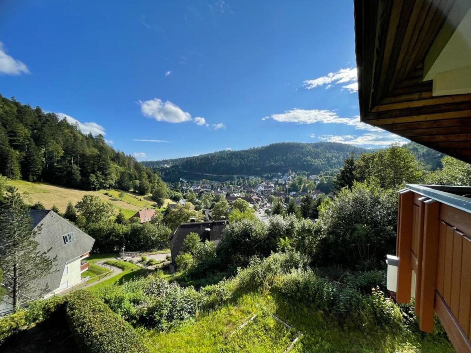 Panorama Apartment Todtmoos Zewnętrze zdjęcie